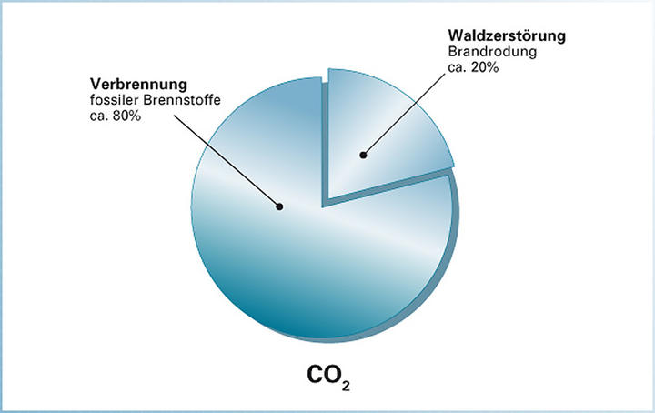Verursacher von CO<sub>2</sub>-Emissionen